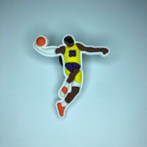 LeBron James shoe crocs jibbitz